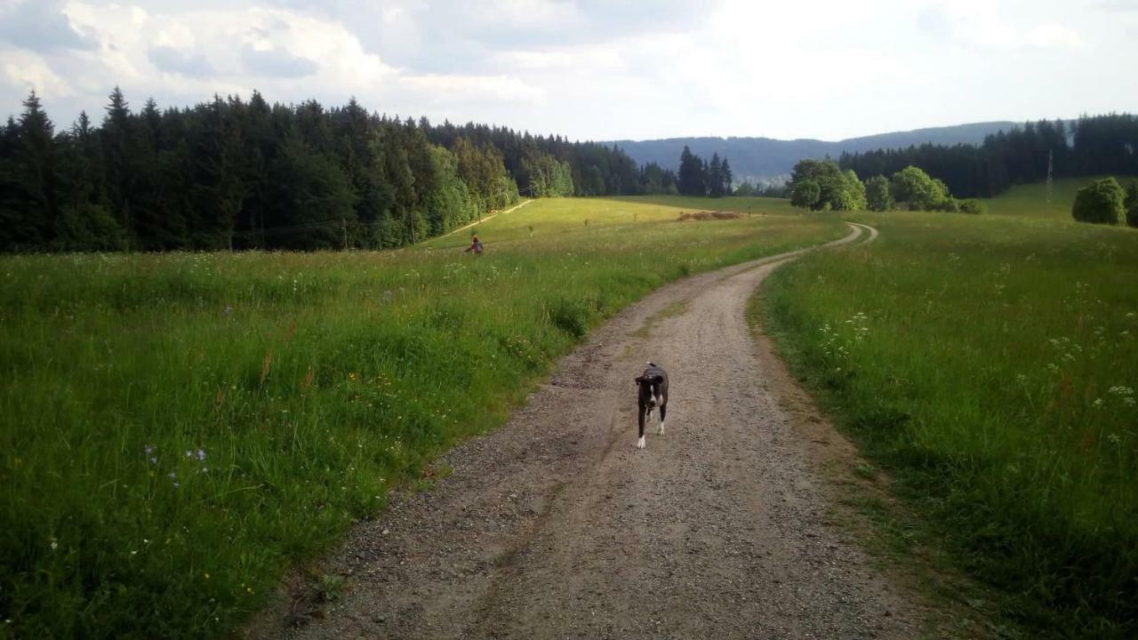 Chata Na Sousi Десна Экстерьер фото